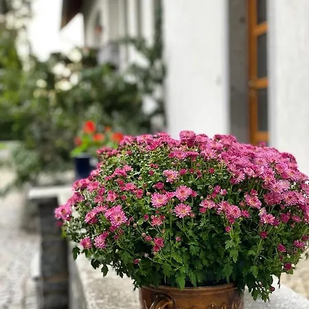 Klimetice Villa